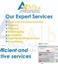 Alba and Associates certified public accountants