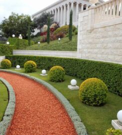 City Landscapes and General Contractors Ltd
