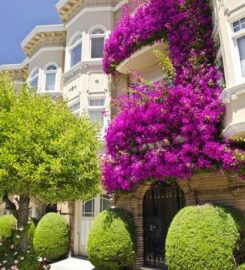 City Landscapes and General Contractors Ltd