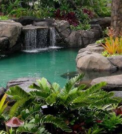 City Landscapes and General Contractors Ltd